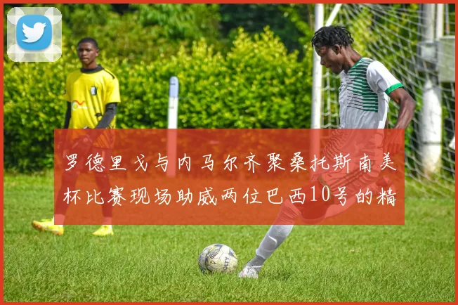 罗德里戈与内马尔齐聚桑托斯南美杯比赛现场助威两位巴西10号的精彩时刻