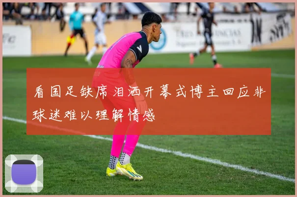 看国足缺席泪洒开幕式博主回应非球迷难以理解情感